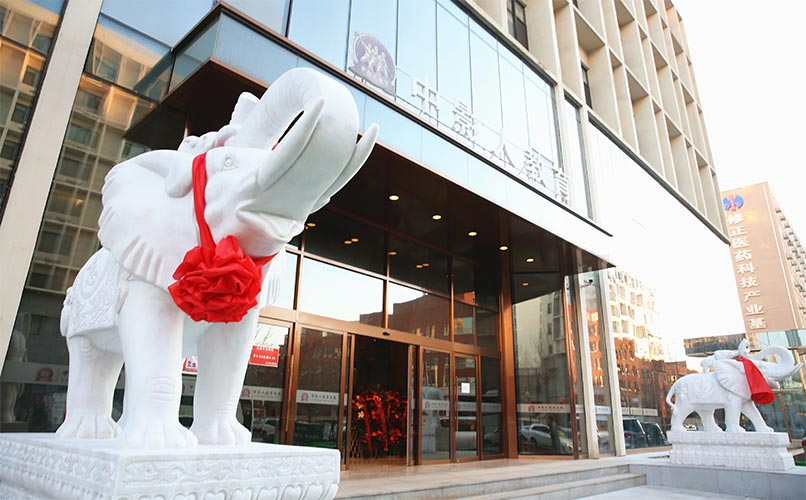 中影人藝考舞蹈培訓學校環境